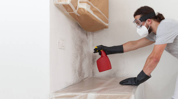 Professional Basement Mold Removal technician working in Parker Ford, PA