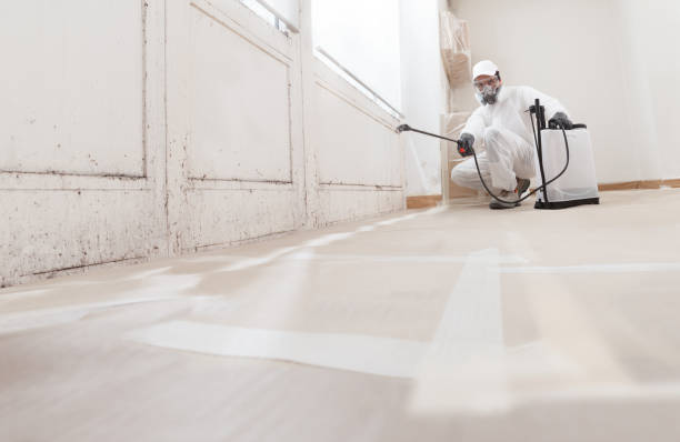 24/7 Emergency Basement Mold Removal experts in Parker Ford, PA